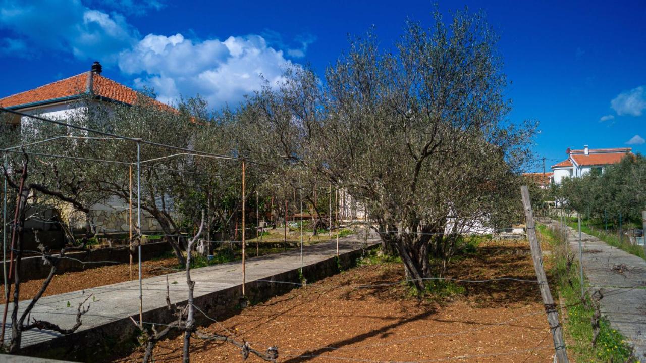 Vecchia Oliva,Kuljica Villa Kukljica Bagian luar foto