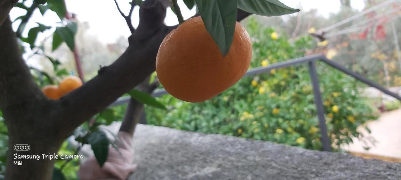 Vecchia Oliva,Kuljica Villa Kukljica Bagian luar foto